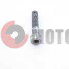 ���� ����� �������, �����. ��� �������.