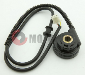 �������� ����.����.250�� XR250