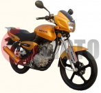 �������� NEXUS TOWN 150