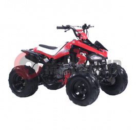 ATV Irbis 110 S