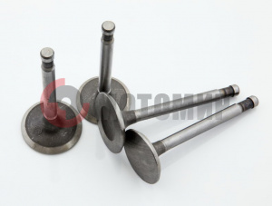 Клапана Днепр (1 комплект=2 пары) Клапана Днепр (1 комплект=2 пары)