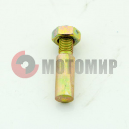 ���� ���� �����������