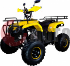 ���������� Avantis Patriot 8 (������ 17 ����!!!)