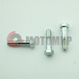 ���� ����������� ���