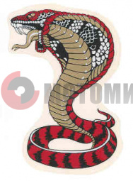 �������� ����� (�������)