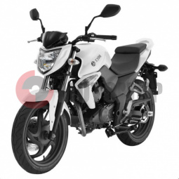 �������� SYM Wolf T2 250 �����