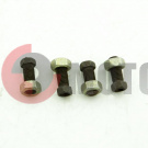 ���� ����������� ��������� ����