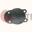 �������� ����� ����� ��������.