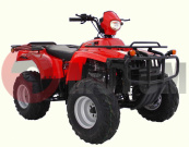 ATV "ЗиД-LIFAN" LF250ST-2 ATV "ЗиД-LIFAN" LF250ST-2
