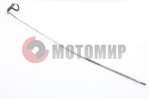 ���� ����� �������