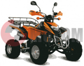 ATV Patron Scaner 250 �������