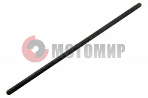 ������ ����