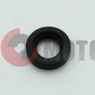 ������� ����� 25 �13 �6 �����