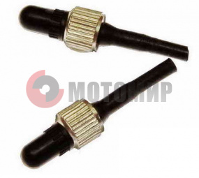 ������� ���� � �����