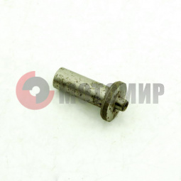 ������ ���� ����� ���������