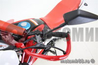  IRBIS TTR 250R 250 4 ( )