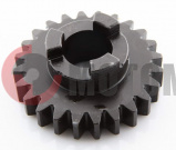 Звездочка Рысь Z24 (113,06,010,021) Звездочка Рысь Z24 (113,06,010,021)