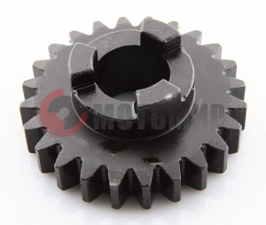 ��������� ���� Z24 (113,06,010,021)