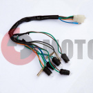 �������� ����� �������� �����