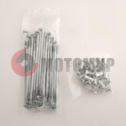 ����� ����� � �������� (� �������)