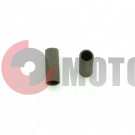 ������ �����.���� ����(119.06.010.003)