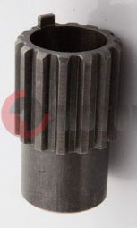 ������ ��� (��������) ����(113.06.010.010)