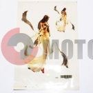 �������� (22*35) Girl11