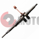 �������� Suzuki ����� �����.