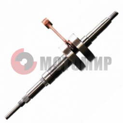 �������� Suzuki ����� �����.