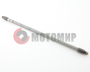 ������ �����