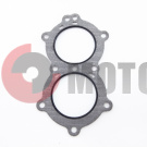 Проклад.Нептун 25 голов. Проклад.Нептун 25 голов.