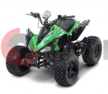 ATV ���� 110