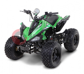 ATV ���� 110