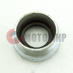 ����� ���� ��������� ������� ����� � ���������