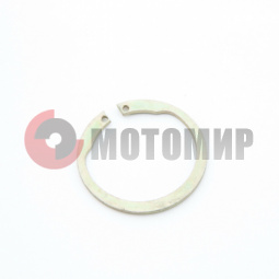 Кольцо стопорн.Нептун флянца магнето (160240032) Кольцо стопорн.Нептун флянца магнето (160240032)