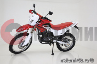  IRBIS TTR 250R 250 4 ( )