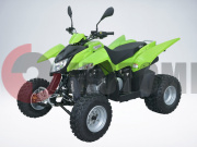 ATV QuadRaider 300 SD зеленый независимая подвеска ATV QuadRaider 300 SD зеленый независимая подвеска