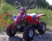 ATV 50сс POLAR FOX ATV50 детский красный ATV 50сс POLAR FOX ATV50 детский красный