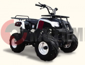 ATV Omaks SP 302 110 ATV Omaks SP 302 110