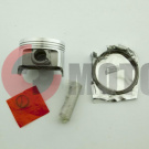 ������� 4T CB250 .STD (?69.0 �-17) 169FMM