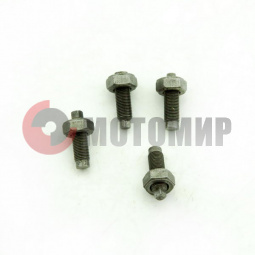 ���� �������������� ��������� ����� ������ � ����.