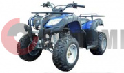 ATV MM BEORN 200 (обновленный AVENGER) ATV MM BEORN 200 (обновленный AVENGER)