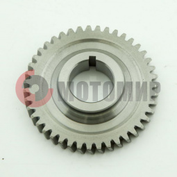 Шестерня балансирного вала ведущая 166FMM (CBB250) Шестерня балансирного вала ведущая 166FMM (CBB250)