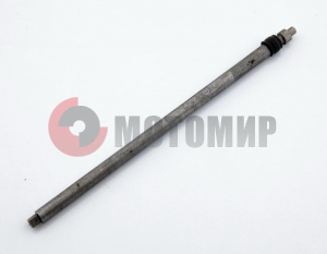 ���� ����� ���������