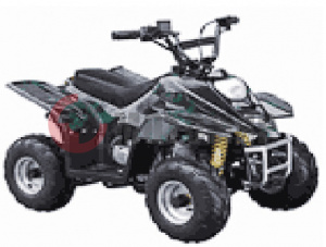 ATV Irbis 50 S