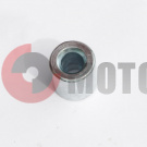 ������ ��������� ������ ����� .21��.21�10�21 ��� ��� d10��.