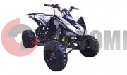 ATV MM Wasabi 250