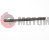 ���� ��������� ������� �������