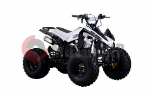 ���������� ������� BSE WOLF �����