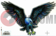 Наклейка Орел HAWK (160*240) цв. Наклейка Орел HAWK (160*240) цв.